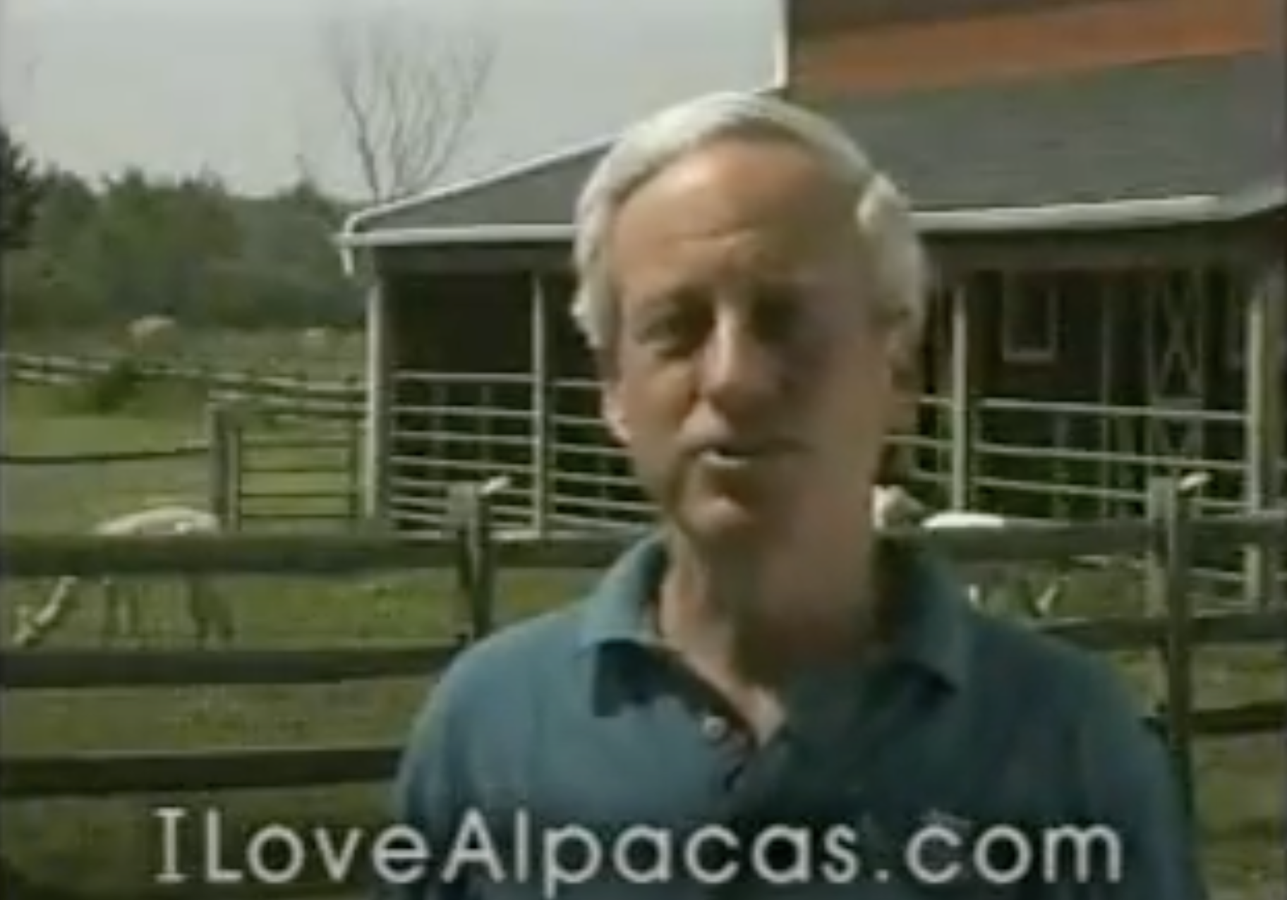 Original I Love Alpacas Campaign Video Cover 1