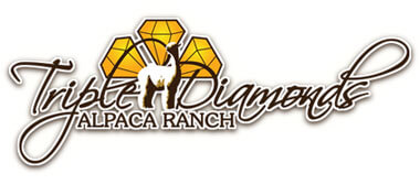 Triple-Diamond-Alpaca-Ranch-Logo