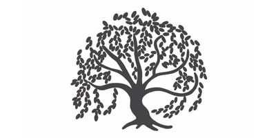 Willow-Pond-Logo