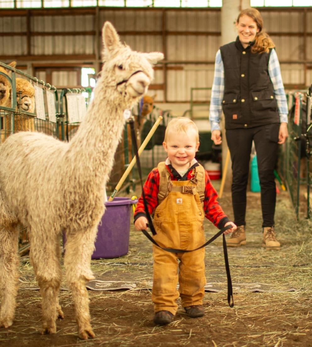 Baby With Suri Alpaca at Show Baby With Suri Alpaca at Show