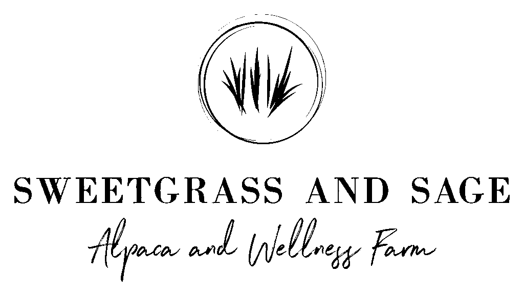 Black-logo-no-background-2