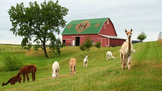 Heritage-Farm