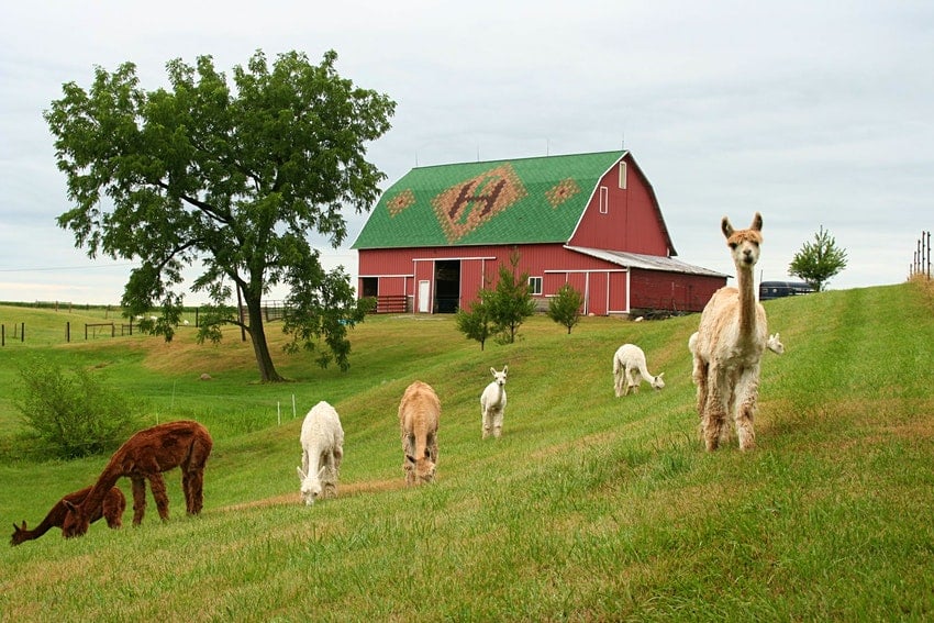 Heritage-Farm