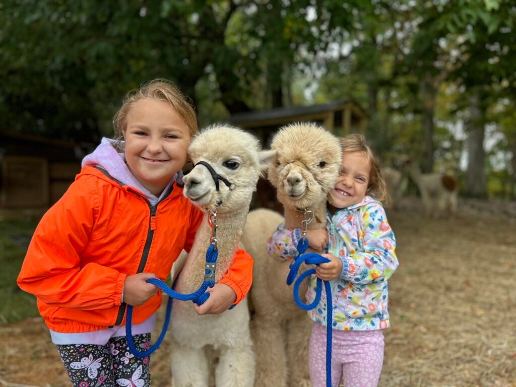 Shear Heaven Farm