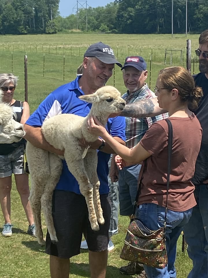 LondonDairy Alpacas