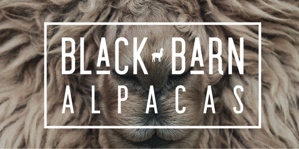 Black Barn Alpacas Logo
