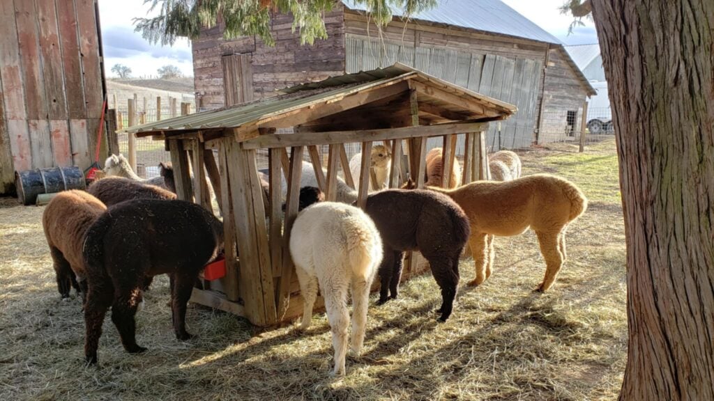 Pacas West LLC
