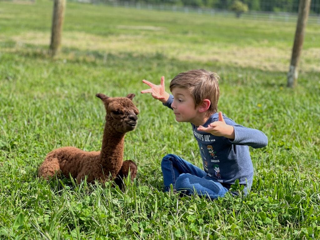 Finger Lakes Alpacas, LLC
