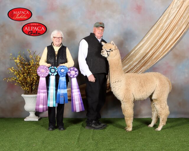 Outstanding Dreams Farm
