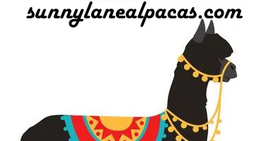 SunnyLaneAlpacas-wide