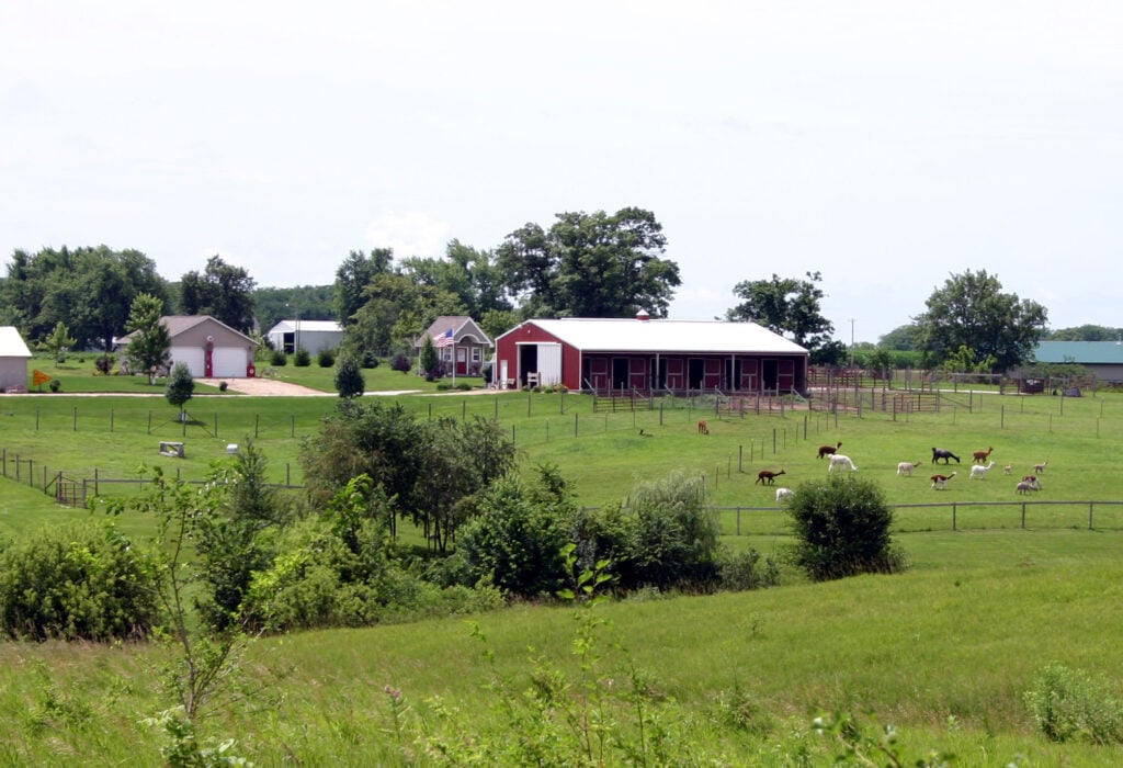 Heartland “Criations” Alpacas LLC