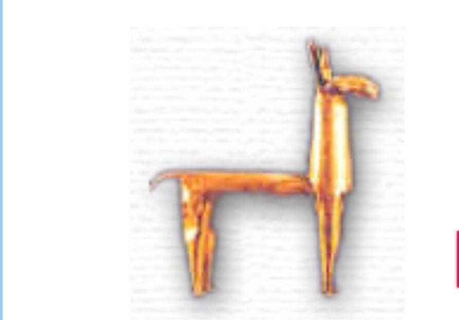 Paolas Pacas LLC
