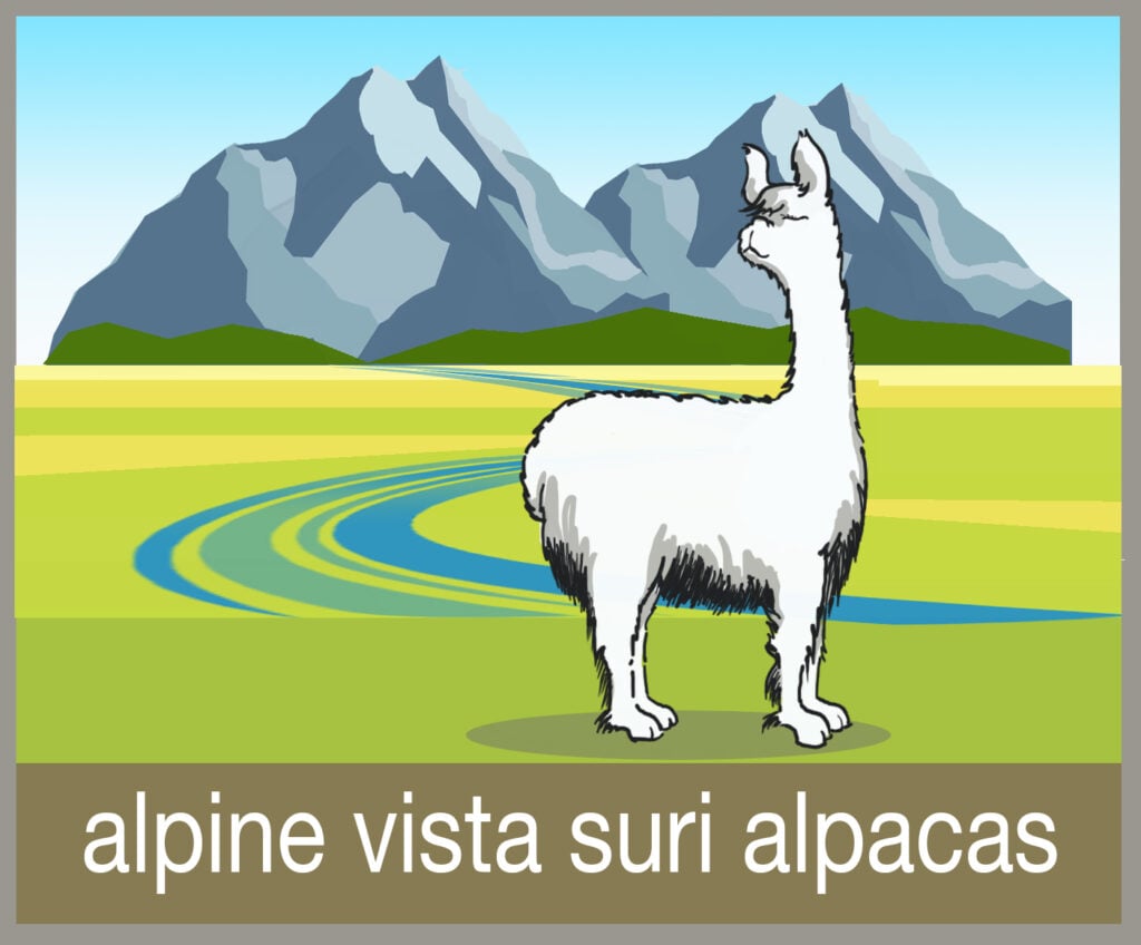 Alpine Vista Suri Alpacas LLC