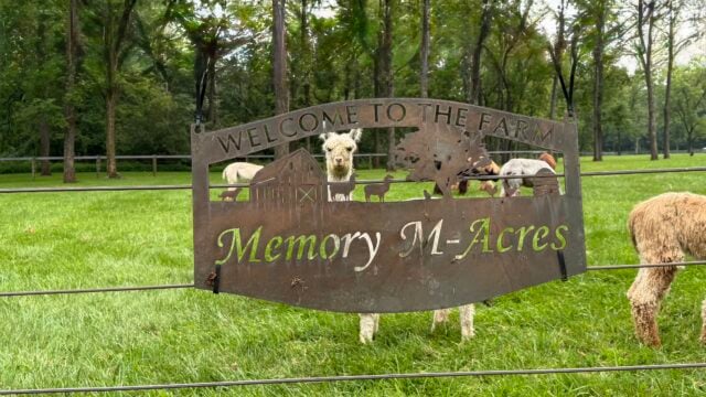MemoryMacresSign1.9mb