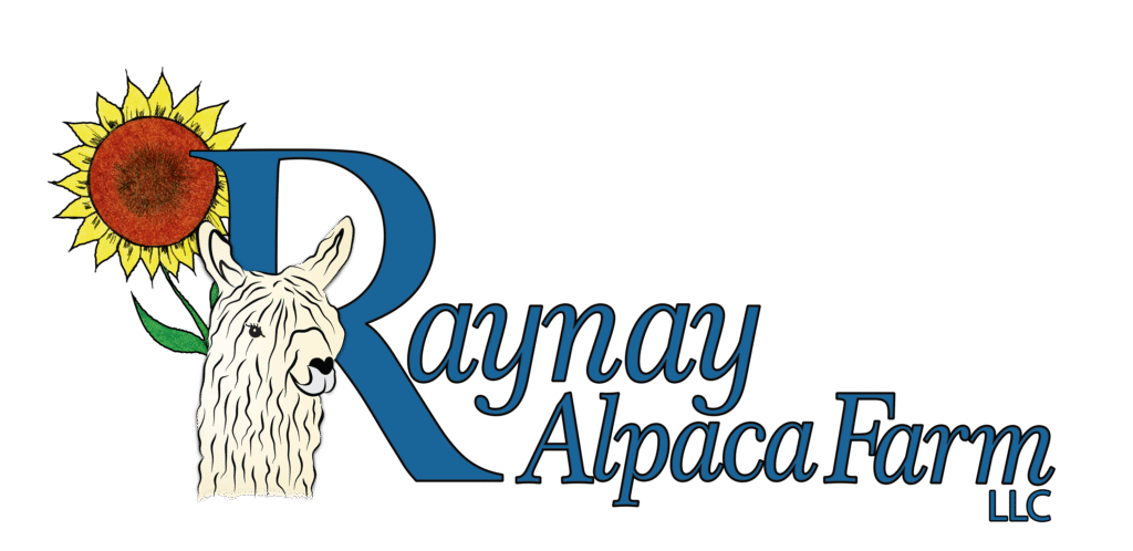 RaynayLOGO2_FINAL_copy_2