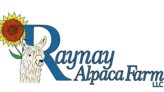 RaynayLOGO2_FINAL_copy_2