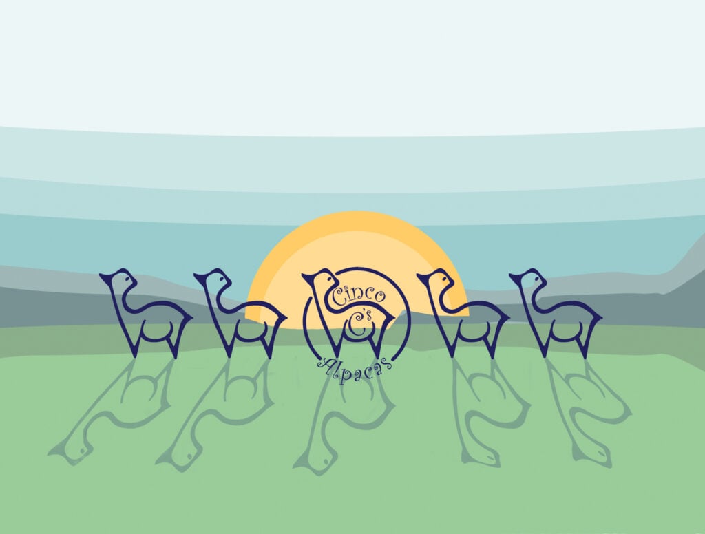 Cinco C’s Alpacas