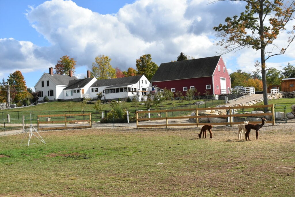 DSC_0376