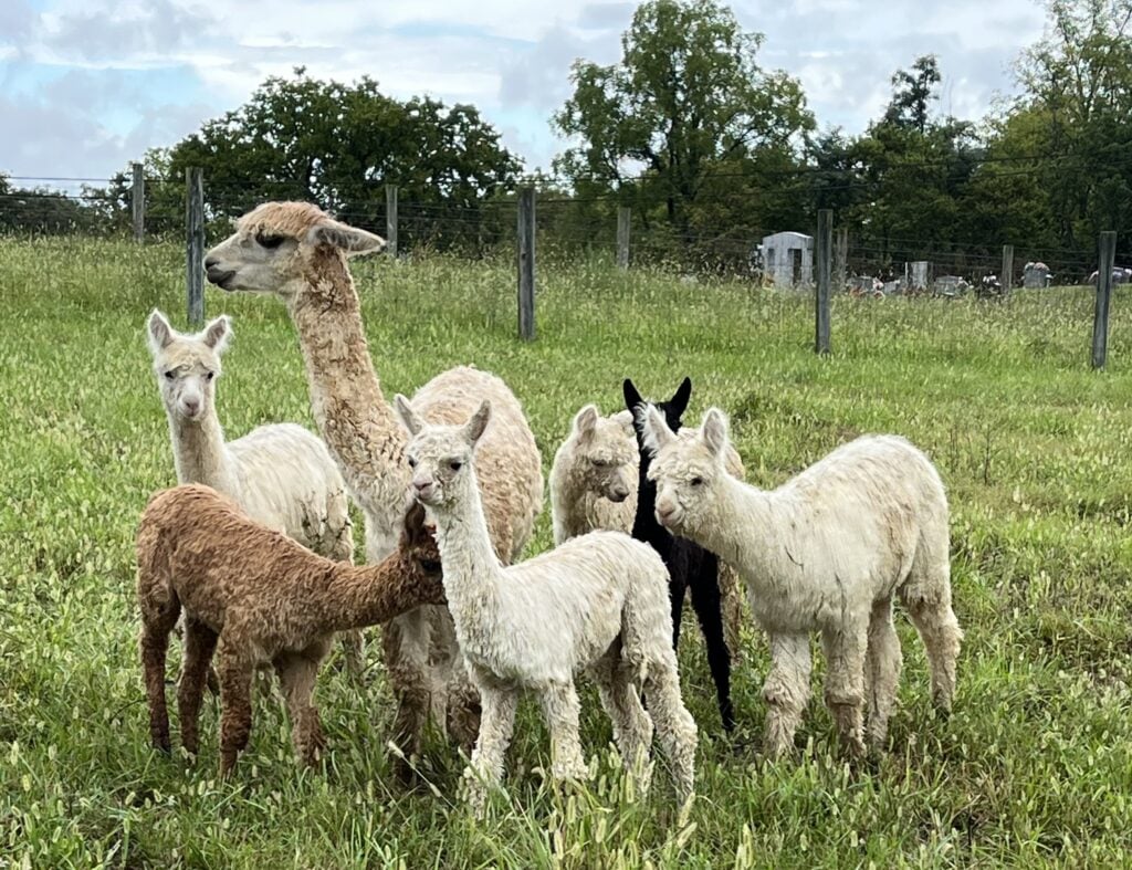 2 Point Farm LLC