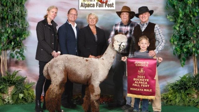 HoldfastJudgesChoice