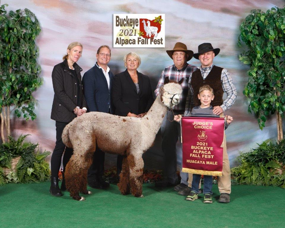 HoldfastJudgesChoice