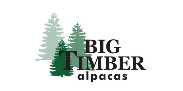 Big TImber Alpacas
