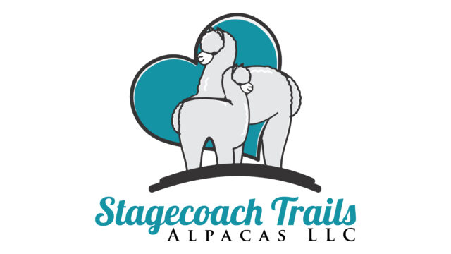 Stagecoach-Trails-Alpacas-LLC-01