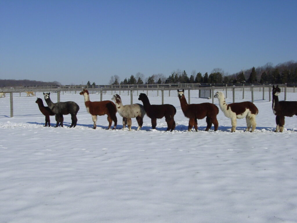 Perkiomen Creek Ranch