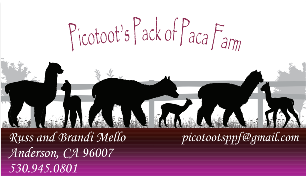 Picotoot’s Pack of Paca Farm