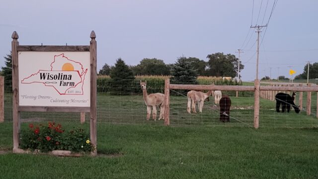Wisolina-WI