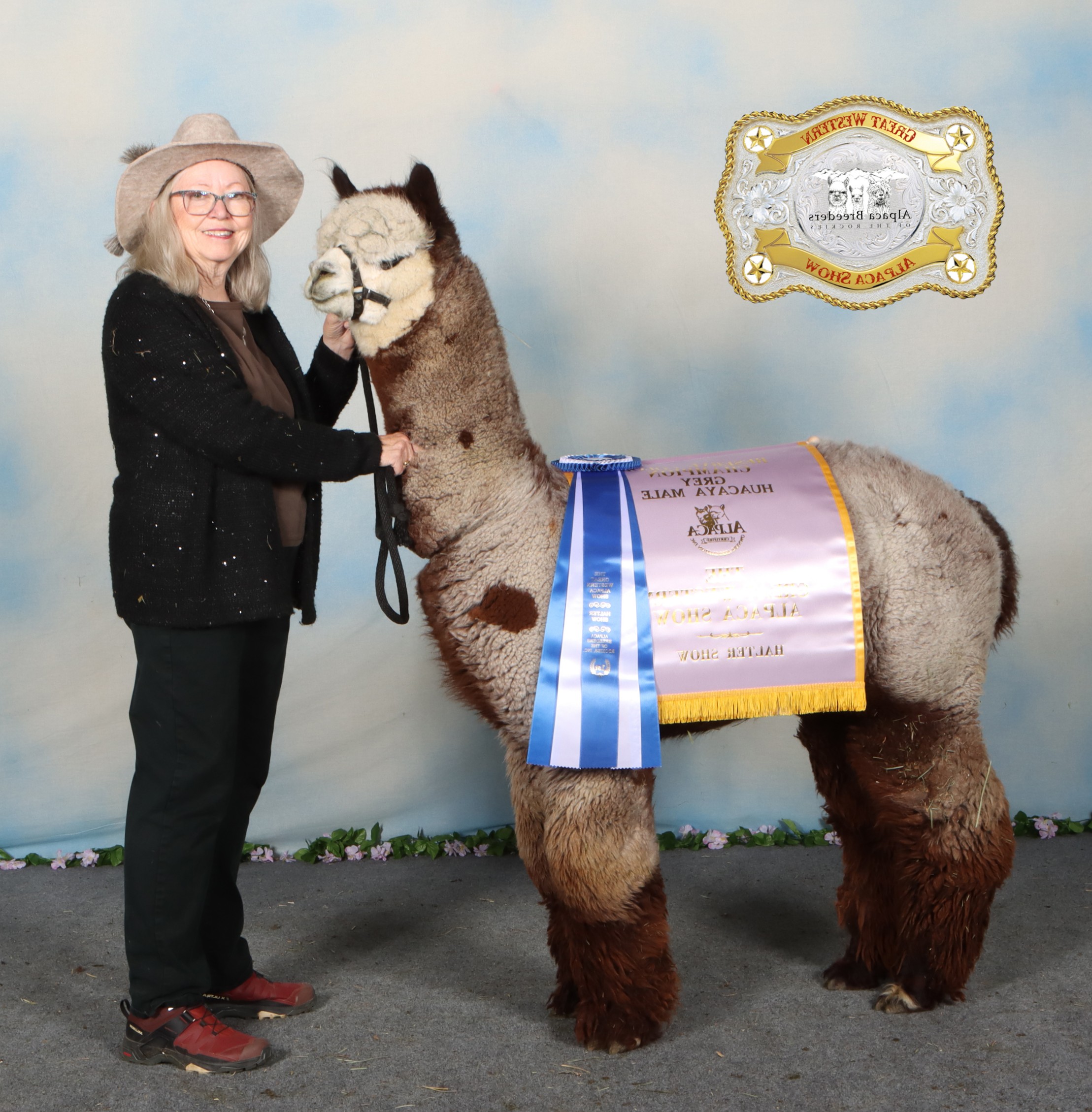 Blazing Blue Ranch Blazing Star Ranch at ILoveAlpacas.com