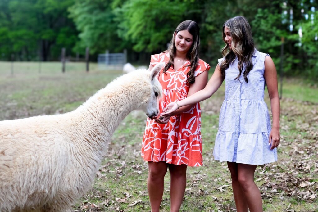 CarolinaPridePastures2026-GRP-16_under_2MB