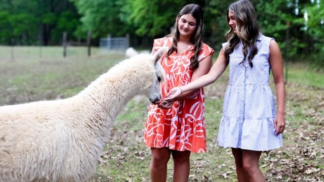 CarolinaPridePastures2026-GRP-16_under_2MB