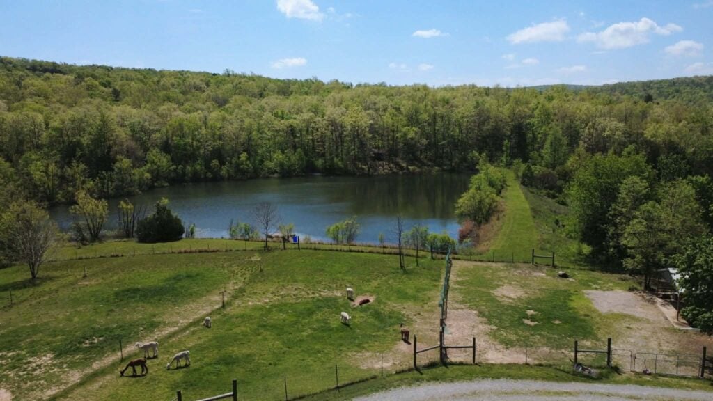 aerial-pasture-2026-1