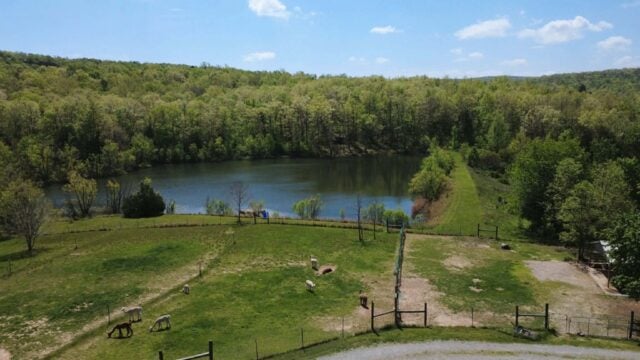 aerial-pasture-2026-1