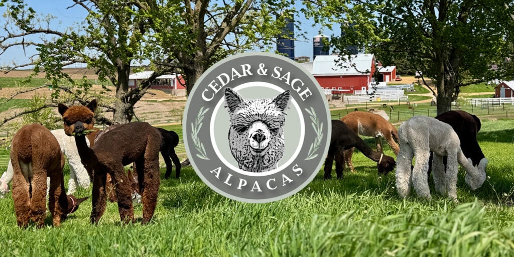 Cedar & Sage Alpacas