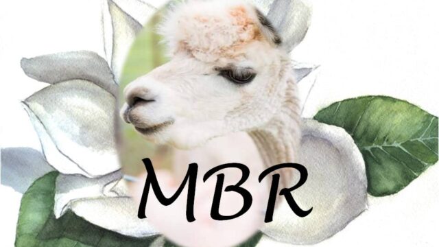 MBR-Insignia