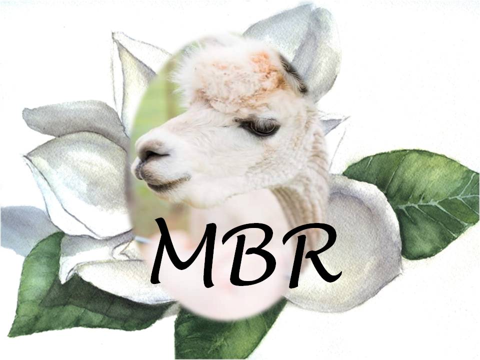 Magnolia Blossom Ranch