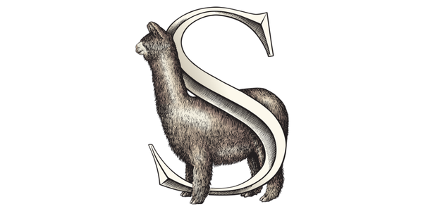 Suri and Company Logo