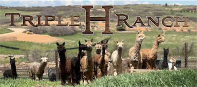 THR-FB-Banner-resized