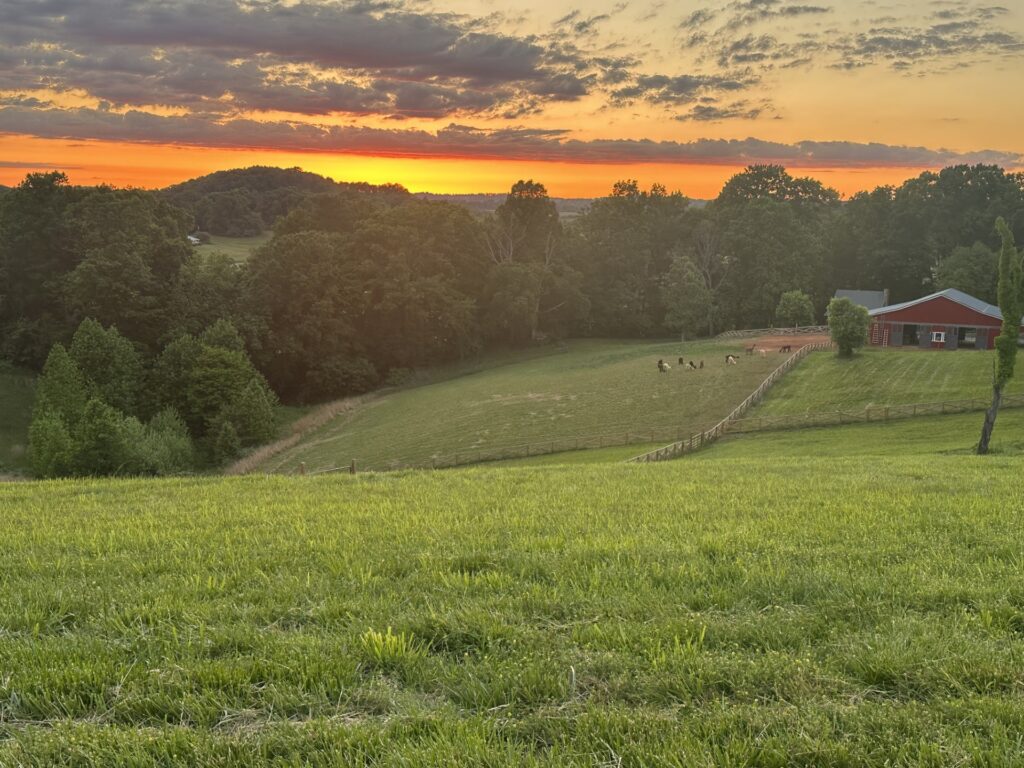 Ebfort Alpaca Farm