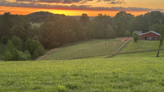 TN-Farm-5