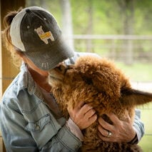 Alpaca Love With Gina Glasscock Alpaca Love With Gina Glasscock